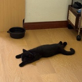 嗯嗯活着呢哈哈