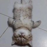 越说越赖皮