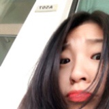 鱼吃了贪睡的猫