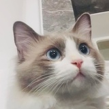 豆友73886687