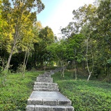 version