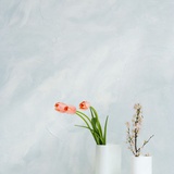 cherishtulip