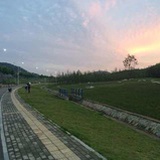 --鑠--