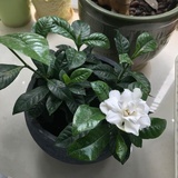 李有钱