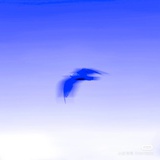 月光过曝