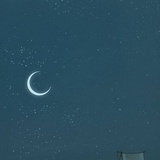 杨一