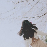 程子--hc