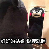 是丸子啊！