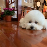 可爱女人