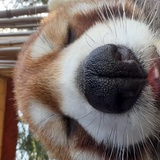之弥