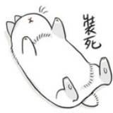 机智少女