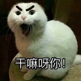 莫挨老子