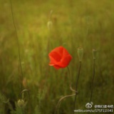 爱自己