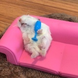 取名是什么