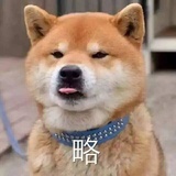 栀子炭