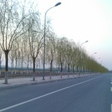 CTHREE