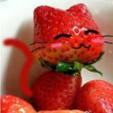 爱思考の猫