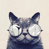 Meow了个咪