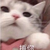 七鲤