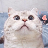 飞er🐳