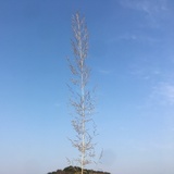 别害怕