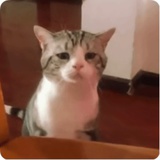 Justkidding_