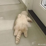 笑笑装方方
