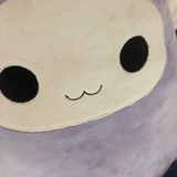 六月晚风