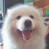 我在雨中