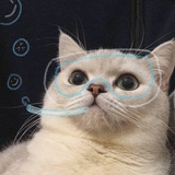 注不注销呢