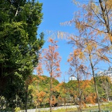 温柔的包包