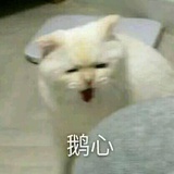 不是圆仔