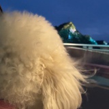睡觉没声音