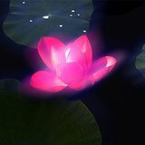 永不服输