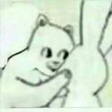 管 理 员