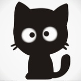 懂生活的小猫