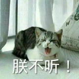 随旅