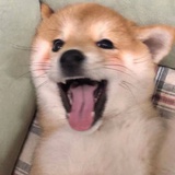 qwertyui