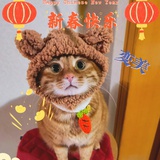 我真的很想早睡