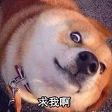 求我啊