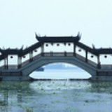 淡淡忧郁绽放