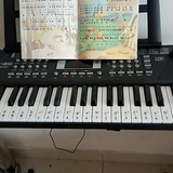 聪聪D蜜罐