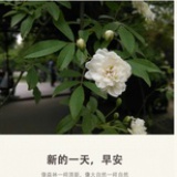 一半一半