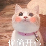 芳喵喵