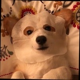 超級無敵江湖騙子