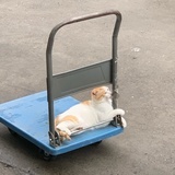 不是什么正经人