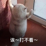 注销中