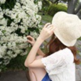 星星の卷心菜