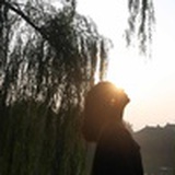 若大宝