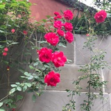 夕阳的刻痕